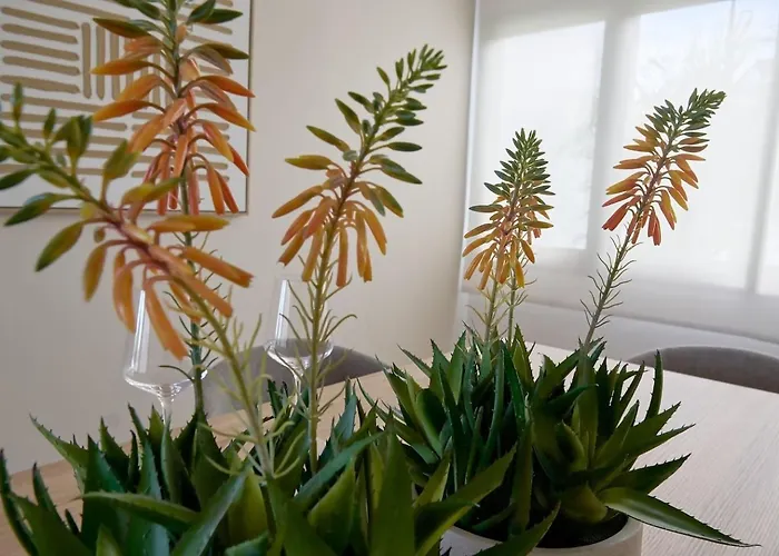 Casa Carlos. Casa vacanze Puerto de la Cruz (Tenerife)